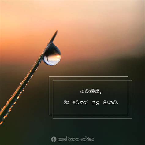 Share Odb Sinhala Our Daily Bread