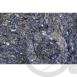 Phyllite Valdiola Marche Italy Thin Section In Cross Polarized