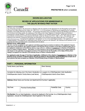 Fillable Online Sworn Declaration Form Qalipu Mi Kmaq First Nation