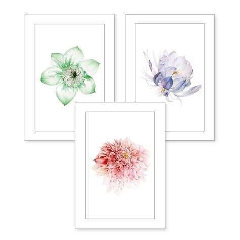 Kreative Feder Poster Bunt Blüte Blume Natur Zeichnung Set 3 St