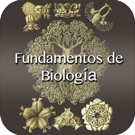 Fundamentos De Biolog A Biblioteca De Universidad Olga Y Manuel Ayau