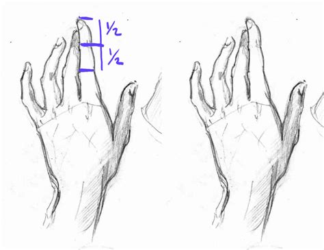 How to Draw Anime Hands, a Step-by-Step Tutorial – Two Methods – GVAAT'S WORKSHOP (2022)