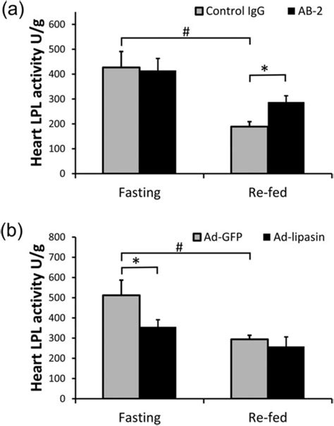 Injection Of The Antibody Ab Increases Postprandial Activity Of The