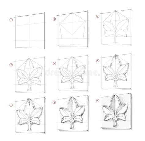 Muestra Cómo Aprender a Dibujar Un Boceto De Rosette Antiguo Creación