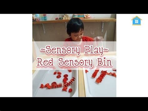 Fokus Belajar Warna Merah Dengan Red Sensory Bin Sense Of Sight