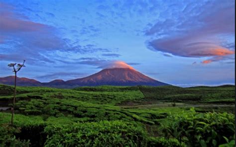 gunung kerinci - Gunung