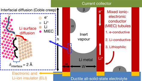 Mixed Ionic Electronic Conductor Miec Tubules As 3d Li Download