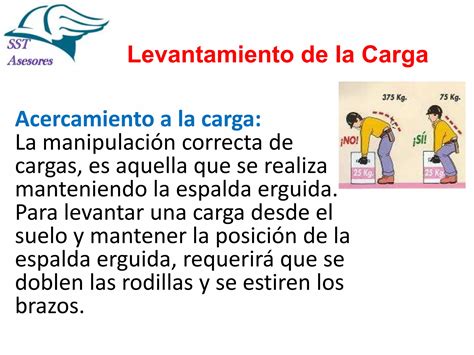 Levantamiento Manual De Cargas PPT