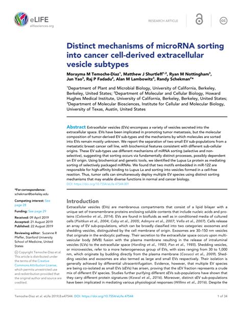 Pdf Distinct Mechanisms Of Microrna Sorting Into Cancer Cell Derived