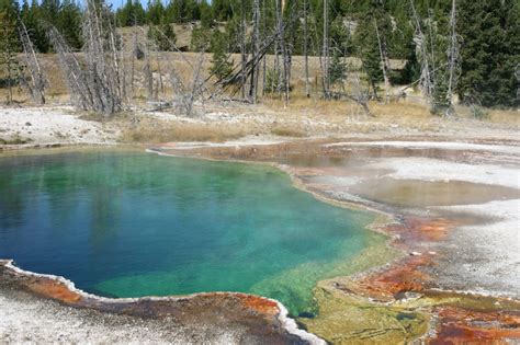 Yellowstone Hot Spring | Yellowstone hot springs, Hot springs, Yellowstone