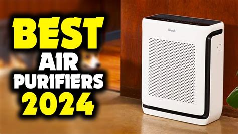 Best Air Purifiers 2024 [hold Your Purchase Until You See This ] Youtube