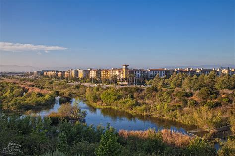 Ballona wetlands photos — Peter Bennett - Citizen of the Planet Photography