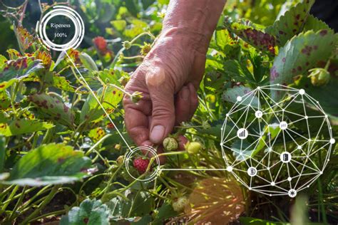 Agroneg Cio Sustent Vel O Caminho Para A Agricultura Regenerativa No