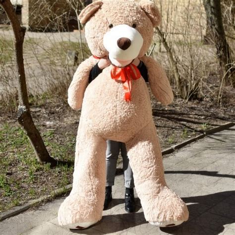 Plush Teddy Bear (200cm) | Large teddy bears | Pristatome gėles