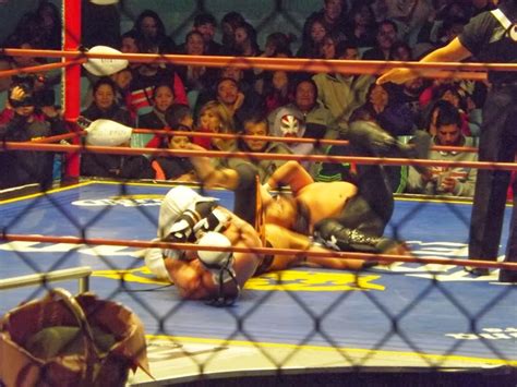 Lucha Libre Porra Fresa Shocker Doblega Al Buca Negro Casas