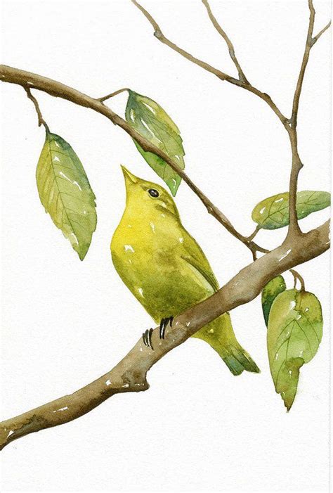 Original Watercolor Painting Bird Luì Green Art Print Limited