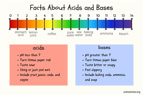 Facts About Acids and Bases Science Formulas, Chemical Burn, Gcse ...