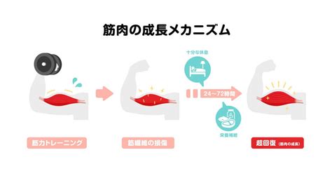 自宅で簡単！誰でもできる自重トレーニングの効果とおすすめメニュー11選 最高のパーソナルトレーナーが見つかるインタビューメディア【ファインドトレーナー】