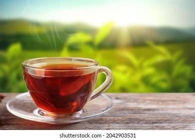 Cup Hot Freshly Brewed Rooibos Tea Stock Photo Shutterstock