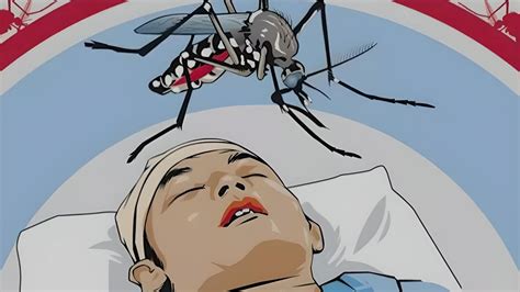 Semakin Panas Suhu Cuaca Nyamuk Aedes Aegypti Semakin Sering Menggigit