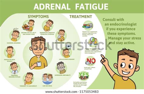 Adrenal Gland Fatigue Symptoms Treatment