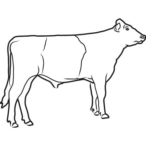 Premium Vector Hand Sketched Hand Drawn Dutch Belted Cow Vector