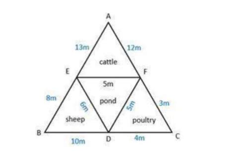 38 A Farmer Has A Triangular Plot Of Land With A Pond At The Centre