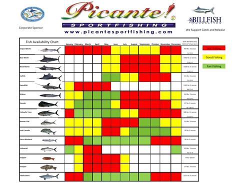 Cabo Fishing Tournament Calendar