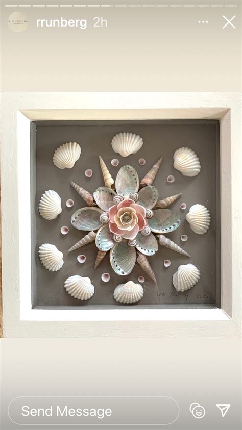 Ways To Display Your Seashell Collection Artofit