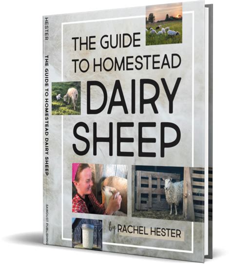 The Guide To Homestead Dairy Sheep Sawdust Publishing