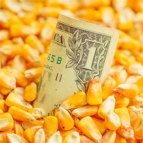 Applications for PA's Farm Vitality Planning Grants for open, fund