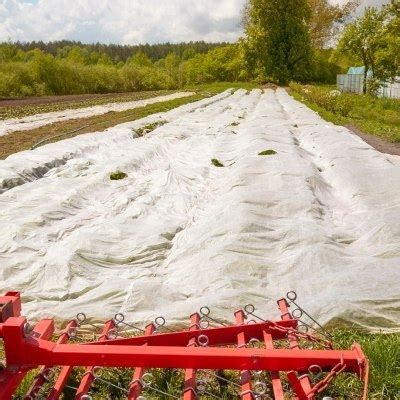 Agrowłóknina biała w ogrodnictwie Po co ją stosować Sklep