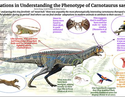 Carnotaurus Projects | Photos, videos, logos, illustrations and ...