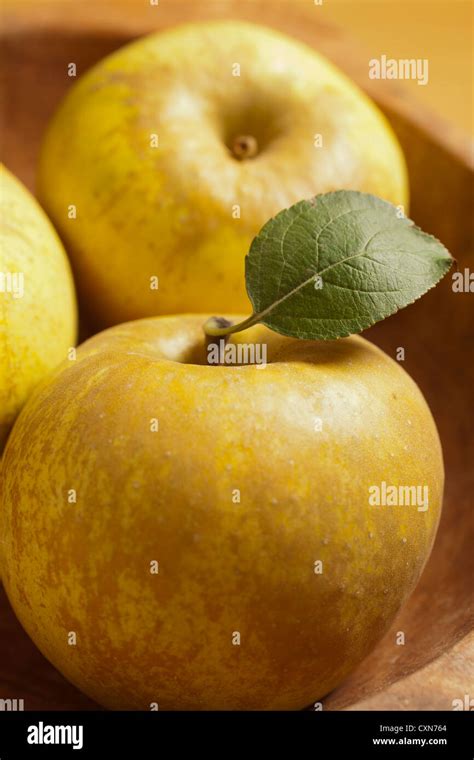 Pomme mutsu Banque de photographies et dimages à haute résolution Alamy