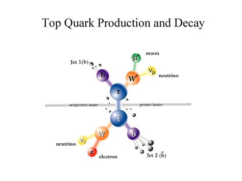 The Top Quark Discovery Ppt Download