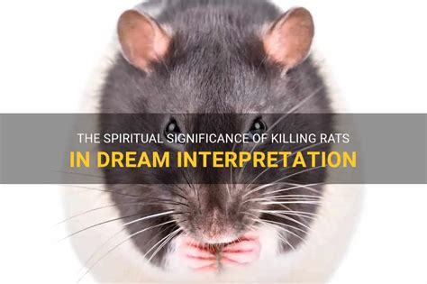 The Spiritual Significance Of Killing Rats In Dream Interpretation