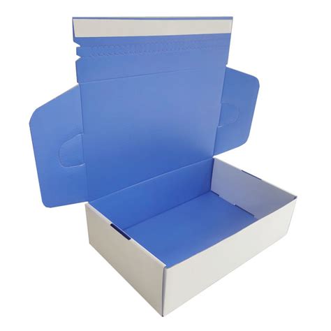 Customized Logo Corrugated Self Seal Postal Blue Mailing Carton Self