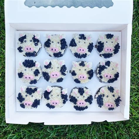 Cow Cupcakes | Cow cupcakes, Themed cupcakes, Cow