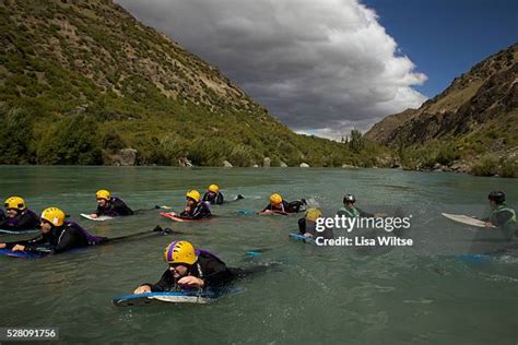 Dog Island New Zealand Photos and Premium High Res Pictures - Getty Images