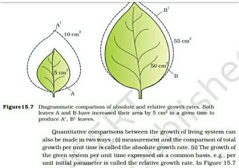 Figure15 7 Diagrammatic Comparison Of Absolute And Relative Growth Rates