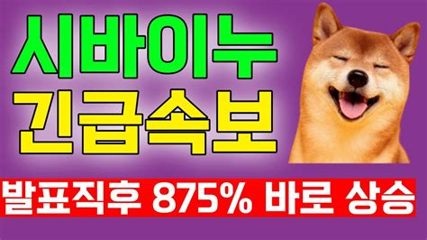 시바이누 이번 발표직후 875 바로 쏘네요 시바이누 폭등코인 Youtube