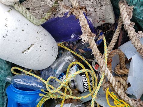 Marine Debris April Fishers Island Conservancy