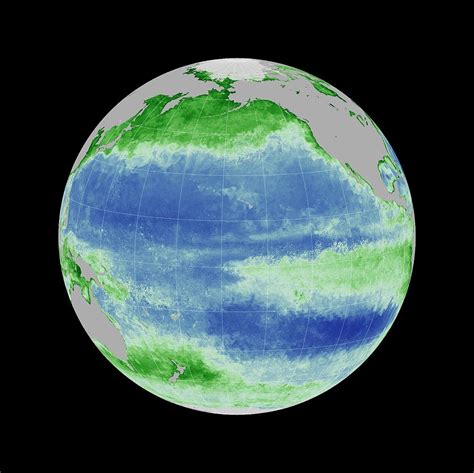 Ocean Chlorophyll Concentrations By Nasagsfc Ocean Ecology Lab