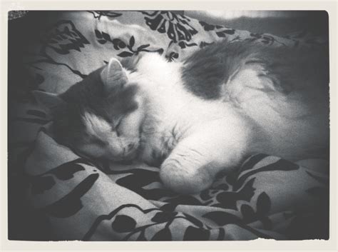 Gigantic Hairy Pussy So This Isnt Grad School