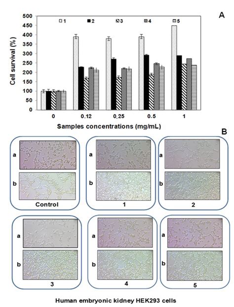 Fermentation Free Full Text Molecular Identification And