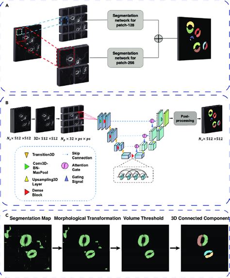 The Overall Pipeline Of The Guard Cell Segmentation Network A Final