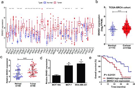 SNHG1 Was Upregulated In Breast Cancer Tissues And Cells SNHG1