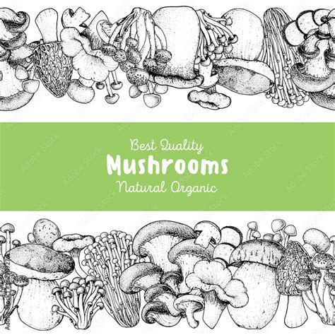 Vecteur Stock Edible Mushrooms Hand Drawn Horizontal Seamless Pattern Vector Illustrations