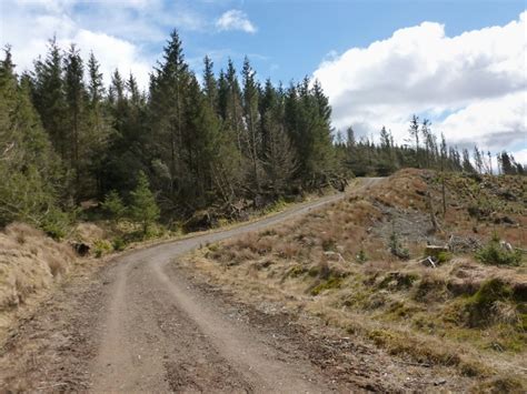 Forestry Track © Lairich Rig Cc By Sa 2 0 Geograph Britain And Ireland