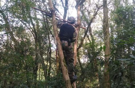 Guardaparques Detectaron Actividad De Cazadores Furtivos En Salto